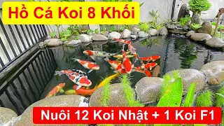 Hồ Cá Koi 8 Khối. Lọc 3 Ngăn. Nuôi 12Koi Nhật + 1Koi F1. Nước Trong Cá Khỏe. Hồ Anh Duy Tại Cam Lâm