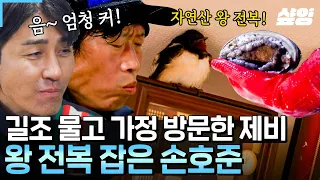 [#삼시세끼어촌편5] 손호준 사진 위로 올라간 제비! 덕분에(?) 성인 손바닥만 한 사이즈 전복 잡은 손호준?!