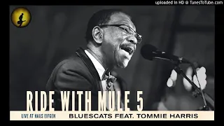 Bluescats Feat. Tommie Harris - Luther's Blues [Live] (Kostas A~171)