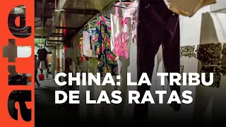 La "tribu de las ratas" de Pekín, China (2017) | ARTE.tv Documentales