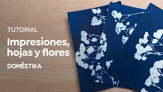 Cyanotype TUTORIAL | Printing with Leaves and Flowers | Fábrica de Texturas | Domestika