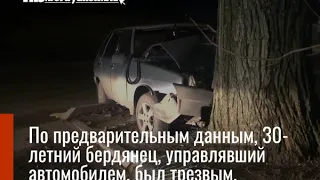 В Бердянске ВАЗ протаранил дерево