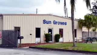 FLORIDA OF THE PAST - SUN GROVES - former orange fruit sales and tourist stop in Pinellas County, FL