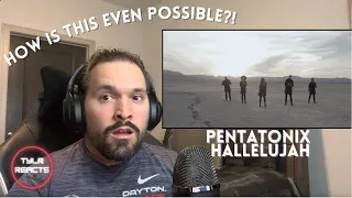 Music Producer Reacts To Pentatonix - Hallelujah (Official Video)