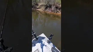 Short strike on #3 plug rod, back trolling for Steelhead.