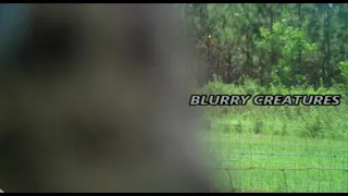 World Bigfoot Radio #152 Pt. 1 ~ Blurry Creatures episode #200/ DUKE and BLURRY CREATURES