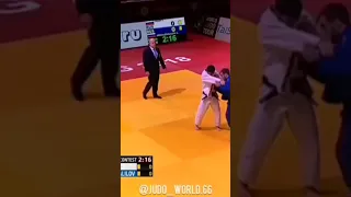 Best Ippon 👌 #best #dzyudo #judo #judomasters #judovines #olympicjudo #top #vines