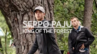 Seppo Paju Disc Golf highlights 2019 | King of the forest