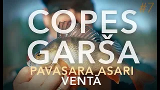 Copes Garša #7 - Asari Ventā