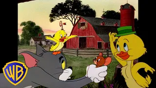 Tom und Jerry auf Deutsch 🇩🇪 | Quak, quak, das ist der kleine Quäker! 🐣 | @WBKidsDeutschland​