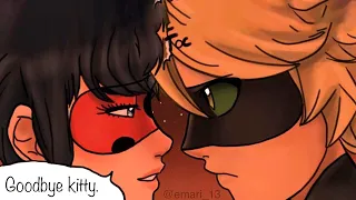 Ladybug says GOODBYE! Miraculous Ladybug Comic Dub Movie