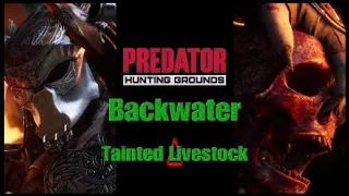 Predator Hunting Grounds Backwater Tainted Livestock