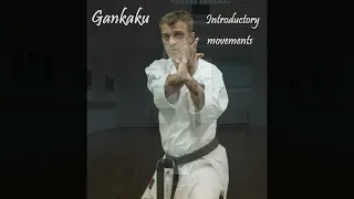 Gankaku - Introductory movements (some ideas)