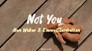 Not You - Alan Walker ft. Emma Steinbakken (sped up version) lirik lagu & Terjemahan