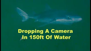Water Wolf 2 In Deep Water - Mackerel, Haddock, Cod, Spurdogs
