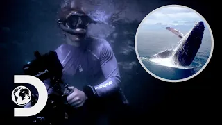 Patrick Captures Humpback Whales Singing At Night For The 1st Time Ever | Chasing Ocean Giants