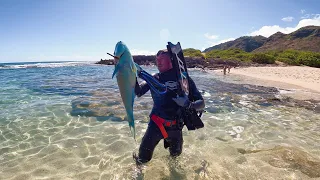 Caught My Biggest Uhu! / Beach Day With Girlfriend / Spearfishing Hawaii  #GETIT