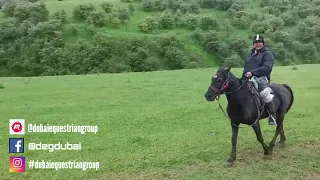 Uzbekistan horse Riding trip 2019