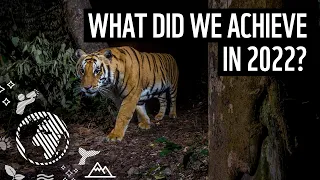 What did we achieve in 2022? | WWF