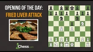 Fried Liver Attack | Chess Openings
