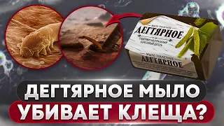 🧼 Дегтярное мыло убивает клеща? | Угревая Железница Demodex