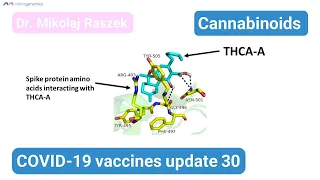 Cannabinoids and Spike protein - COVID-19 mRNA vaccines update 30