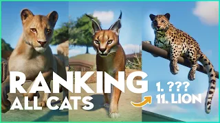 WHICH CAT is the best? Ranking all Planet Zoo Cats