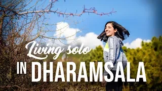 Solo Girl living in Dharamsala for a Month | Hike to Indrunag