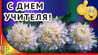 С  днем учителя поздравление. Открытка на День учителя