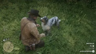 Arthur's horse crashes and a dog comes over to check on him | Red Dead Redemption 2