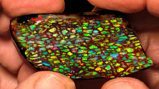 What You DON'T Know About Wood Opal     (Opalized Wood)