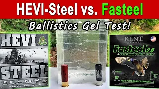 HEVI Steel vs. Kent Fasteel | Ballistics Gel & Pattern Test