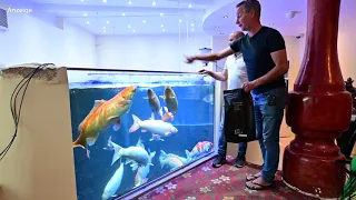 Modern Koi Blog #4723 -  Sensationelles Wasser und Riesenkoi Ein Gespräch im Hotel Oedenhof