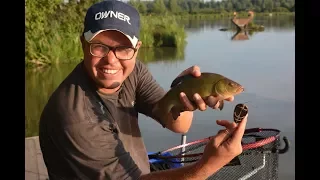 Классический  флэт фидер на коммерческом водоёме. Часть 1