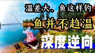 深度逆向：鱼的“双重性格”决定了温差大就该这样钓，趋和驱之谈