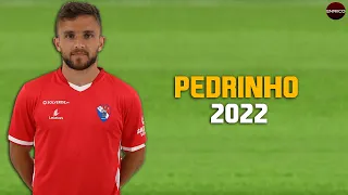 Pedrinho Gil Vicente - Skills & Goals 2022 - HD