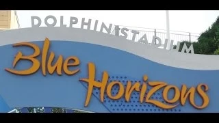 Blue Horizons Full Show  HD May 22 2014 SeaWorld San Diego