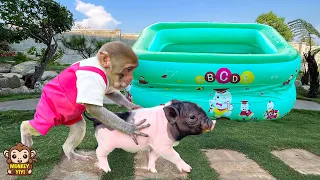 Smart YiYi helps grandpa bathe for the piglet