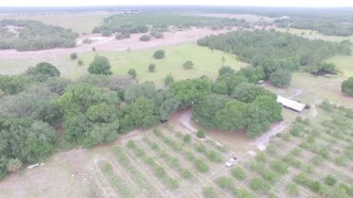 35 acre Ranch/Grove retreat with Home & barn For Sale Avon Park,FL