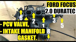 FORD FOCUS 2.0L DURATEC: PCV VALVE, HOSE & INTAKE MANIFOLD GASKET (manifold bolts sequence).