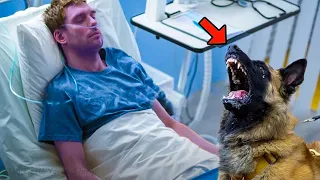 Dog was about to say goodbye to its dying owner, but stopped the doctor