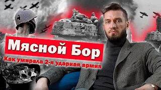 "Мясной бор" - как погибала 2-я ударная армия/Долина смерти