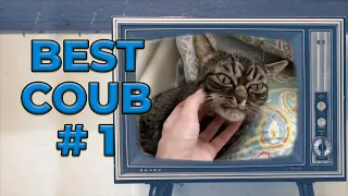 12 МИНУТ | BEST COUB #1