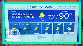 10 Weather: Mostly sunny, very small chance for an isolated shower