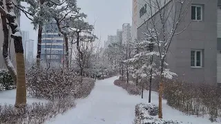 라스트 크리스마스 이선희 (다산동)