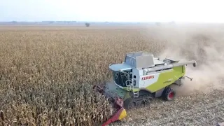 Corn Harvest with Claas Lexion 760 Terra Trac/Capello Quasar 8 Rows