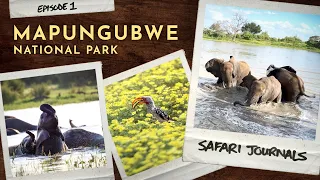 Safari Journals | Mapungubwe National Park | Ep. 1
