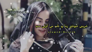 sharbati shondi zama pa nama me karali sta ❣️ poshto slowed Reverb song