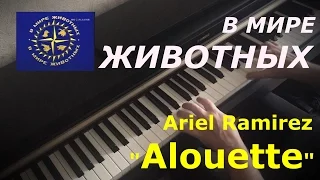 В мире животных "Alouette" ~ "Жаворонок" Ariel Ramirez