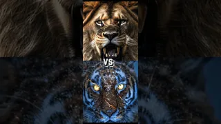 TIGER VS LION,LIGER,JAGUAR,TOP BIGGEST CAT.